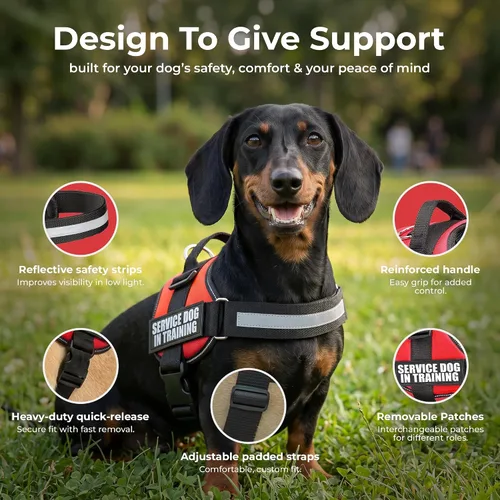 Miniatura 7 de Industrial Puppy Arnés de chaleco de entrenamiento para perro de servicio, chaleco duradero y ajustable con correas reflectantes, parches