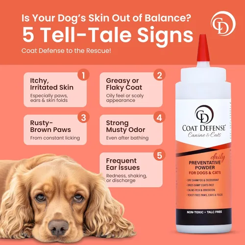 Miniatura 9 de COAT DEFENSE Polvo preventivo diario Fabricado en Estados Unidos Champú para perros sin agua con punta de precisión de 9 onzas y desodorante