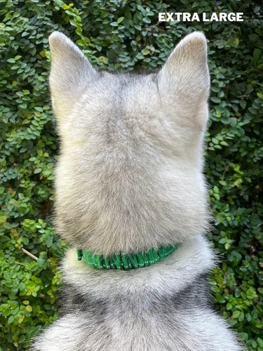 Miniatura 8 de Tuff Pupper Collar de perro resistente con asa Collar de nailon balístico resistente Collar de perro reflectante acolchado con herrajes de acero