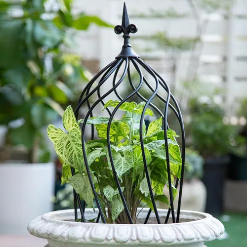 Miniatura 4 de Enrejado de obelisco de metal de 23 pulgadas para plantas trepadoras, diseño de hierro resistente, ideal para rosas al aire libre y enredaderas