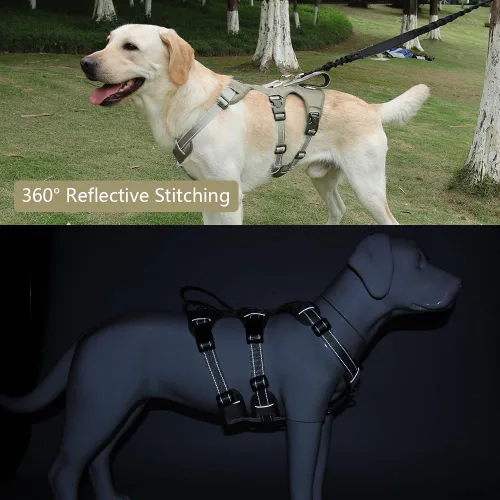 Miniatura 7 de FEimaX Arnés para perro sin tirones, chaleco acolchado suave para perro con 3 clips para la correa y asa de fácil control, reflectante ajustable sin