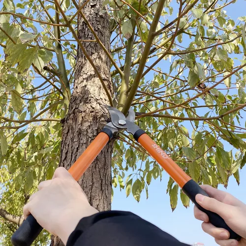 Miniatura 4 de SHIND Bypass Lopper - Juego de cortadoras de jardín ligeras y duraderas, tijeras de jardín resistentes y resistentes que ahorran fuerza, adecuadas
