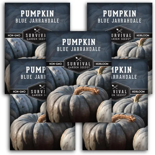 Miniatura 11 de Blue Jarrahdale - Semillas de calabaza para plantar Variedad de reliquia sin OMG con piel decorativa azul-gris y carne dulce para hornear