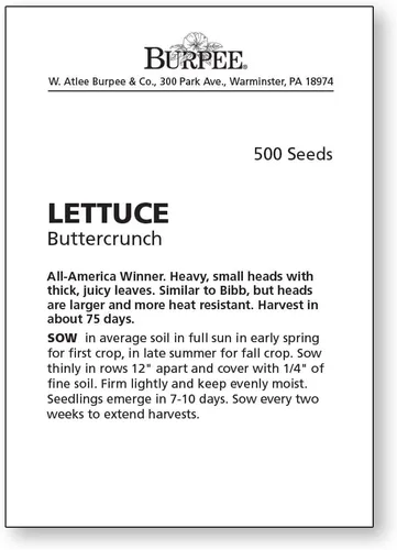 Miniatura 4 de Burpee Buttercrunch Semillas de Lechuga 500 semillas