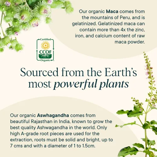 Miniatura 5 de Ora Organic Suplemento de equilibrio hormonal natural y alivio del acné hormonal para mujeres, ayuda a la piel, el estado de ánimo, la energía