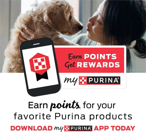Miniatura 10 de Purina DentaLife - Masticables dentales para perros grandes, hechos en Estados Unidos, para uso diario, bolsa de 18
