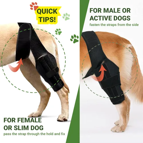 Miniatura 5 de Rodillera para perro para pierna trasera y trasera, soporte para perro ACL CCL Lesión del ligamento cruzado dolor articular y dolor muscular