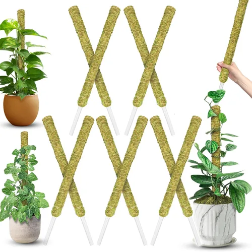 Miniatura 8 de DUSPRO Postes de musgo de malla plana para plantas trepadoras, Monstera, poste de musgo apilable para plantas con musgo real, poste para plantas