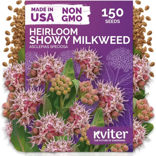 Miniatura 10 de KVITER 500 semillas de caléndula Cracker Jack (Tagetes Erecta) – Caléndula africana, flor gigante, semillas de reliquia sin OMG – Semillas de flores