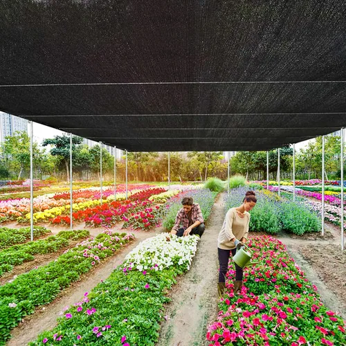 Miniatura 4 de Tela de Sombra – Red de Bloqueo Solar del 70-90% para Jardín, Patio, Velas de Sombra para Plantas, Invernadero, Pérgola al Aire Libre, Césped