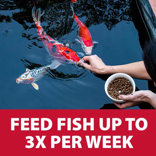 Miniatura 8 de The Pond Guy Spring & Fall - Alimento para peces con germen de trigo para Koi y Goldfish, pellets flotantes prémium para clima frío, fórmula