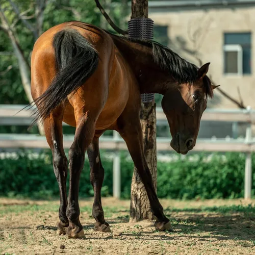 Miniatura 4 de 2 piezas de rascador de ganado de caballo, poste rascador de caballos, kit de cepillo de masaje súper suave para equinos bovinos, almohadilla