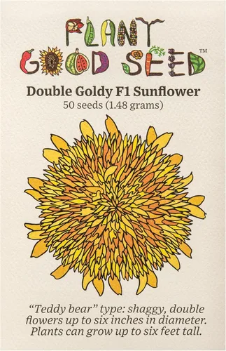 Plant Good Seed Semillas de girasol orgánicas Double Goldy F1 – Paquete de 50, semillas tradicionales para plantar flores, suministros de