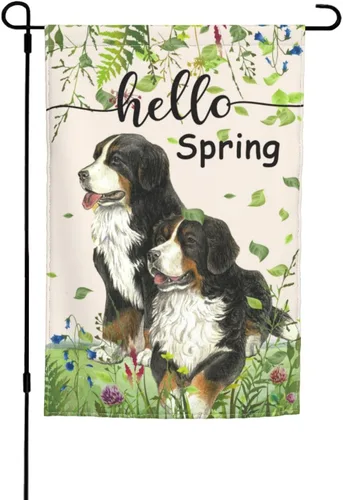 Bandera Hello Spring de jardín de Bernese Mountain Dog de 12 x 18 pulgadas de doble cara vertical pequeña para decoración de exterior de vacaciones