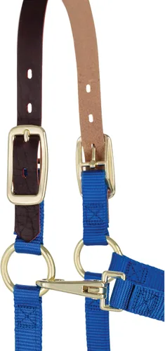 Miniatura 2 de Weaver Leather Caballo ajustable de nylon Breakaway Halter, azul, destetado/poni