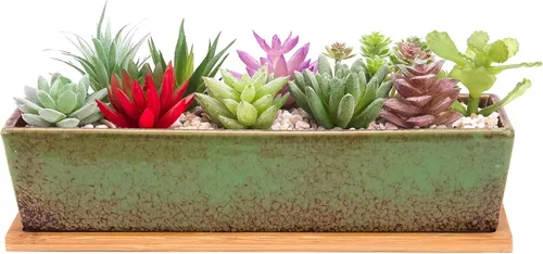 Miniatura 10 de ARTKETTY Macetas de suculentas - Macetas grandes para suculentas con drenaje, maceta de bonsái rectangular larga de 12 pulgadas con bandeja