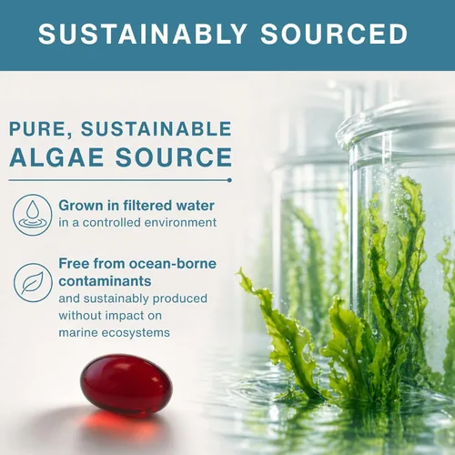 Miniatura 4 de Igennus - Aceite de algas naturales veganas omega-3, DHA y EPA, certificado puro, suplemento de ácidos grasos a base de plantas, con antioxidante