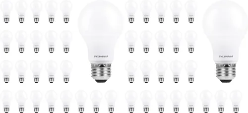 Sylvania ECO - Bombilla LED A19, equivalente a 60 W, eficiente 9 W, 7 años, 750 lúmenes, no regulable, esmerilada, luz diurna de 5000 K, 24 unidades