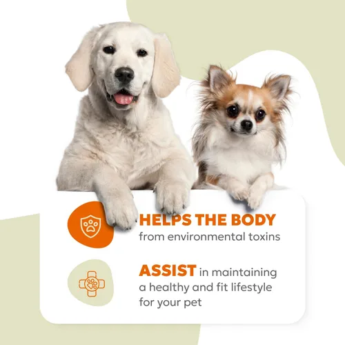 Miniatura 7 de Masticables suaves 10 en 1 para perros, apoyo avanzado para articulaciones, digestión, inmunidad, piel y pelaje, energía, músculos, huesos