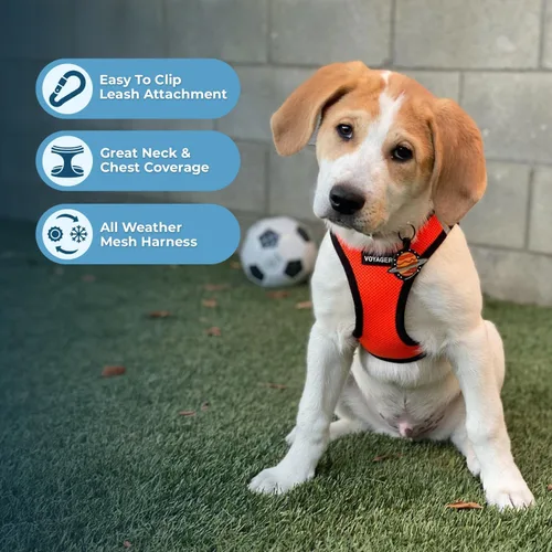 Miniatura 21 de Best Pet Supplies Voyager Step-in Air Arnés – Malla para todo clima, reflectante, arnés antitirones para perros y gatos, seguro con cierre de gancho