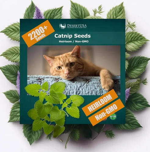 Miniatura 7 de Semillas de hierba gatera para plantar, más de 4400 hierbas, cultivo en interiores o exteriores, reliquia, sin OMG, a los gatos les encantan