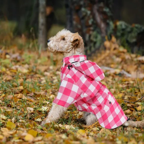 Miniatura 6 de Abrigo impermeable para perro, chaqueta impermeable para cachorros con patas, botones, cremallera y capucha con cordón, ajuste para Yorkie Terrier