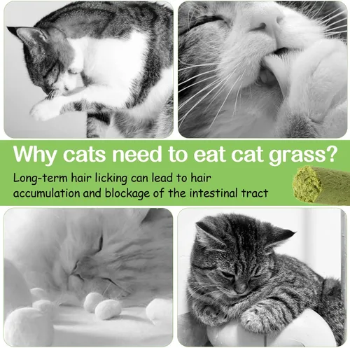 Miniatura 3 de Palitos de hierba para gatos de 50g para dentición, palitos de hierba para gatos deshidratados por congelación como snacks para gatos, golosinas