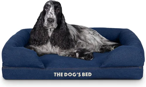Miniatura 41 de The Dog's Bed - Cama ortopédica de espuma viscoelástica para perros medianos, colchón de soporte de alta densidad, entrada frontal baja, funda negro