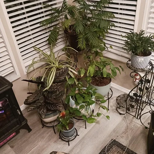 Miniatura 6 de Paquete de 4 soportes de metal negro para macetas de piso para plantas de interior y exterior de 23 cm, soporte para macetas de flores resistente