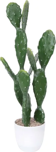 Cactus artificial de 22 pulgadas, cactus falso, Saguaro, plantas en maceta para interiores y exteriores, hogar, oficina, tienda de decoración