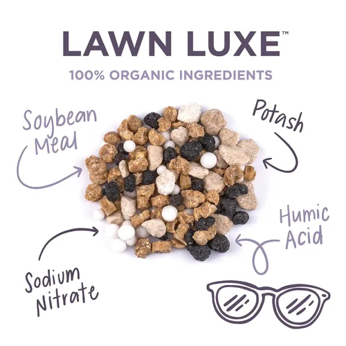 Miniatura 3 de Lawnbox Lawn Luxe 7-0-7 - Fertilizante de hierba de verano 100% orgánico, 14 libras, cubre bolsas de 2,500 pies cuadrados