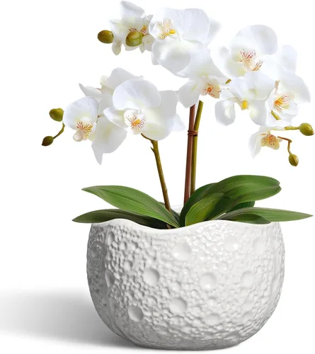 Miniatura 38 de Macetas de Cerámica Thirtypot - Maceta de 4 Pulgadas con Agujero de Drenaje, Macetas Pequeñas para Plantas de Interior y Exterior, Maceta Redonda