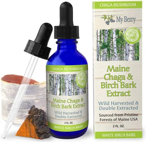 My Berry Maine Chaga - Extracto líquido de corteza de hongo y abedul | 2 onzas | Cosechado silvestre y doble extracción | Chaga cultivada en Estados
