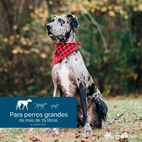 Miniatura 4 de Wondercide - Repelente contra pulgas y garrapatas para perros - Repelente de pulgas, garrapatas y mosquitos, prevención para perros con aceites
