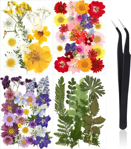 Miniatura 10 de Nuanchu Flores secas prensadas negras para manualidades, flores secas góticas, flores silvestres prensadas naturales a granel con pinzas para molde