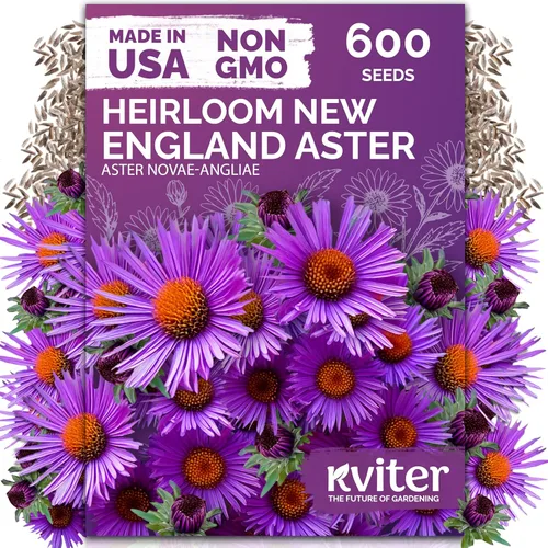 Miniatura 24 de KVITER 25 semillas de algodón blanco para plantar (Gossypium hirsutum) – Planta de algodón real, semillas de algodón para cultivo, semillas