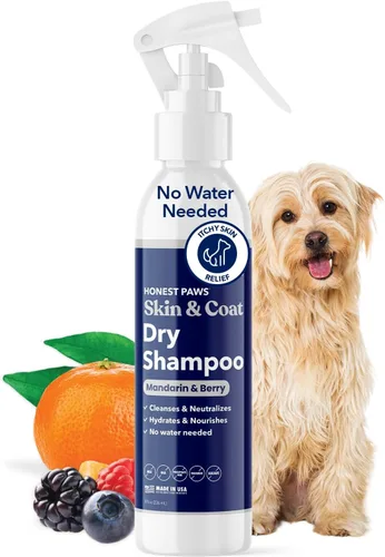 Honest Paws Champú seco para perros, fórmula en aerosol sin agua, sin enjuague, reduce la picazón, limpia hidrata, nutre la piel seca y el pelaje