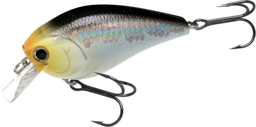 Miniatura 15 de LUCKY CRAFT LC 2.5 Señuelos de Pesca Crankbait Silenciosos, Crankbait Squarebill de 2-3/8", Señuelos para Lubina, Carnada Dura Flotante de 419 BP