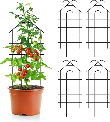 Miniatura 11 de ARIFARO Enrejado de metal de 24 pulgadas para plantas trepadoras, paquete de 4 enrejados para plantas en maceta, enrejado negro para interiores