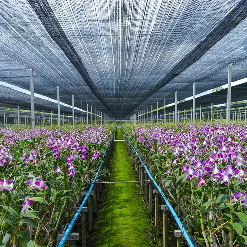 Miniatura 9 de 40% paño para sombra de jardín, lona de malla de polietileno de alta densidad de 10 x 20 pies con ojales mejorados, resistente a los rayos UV