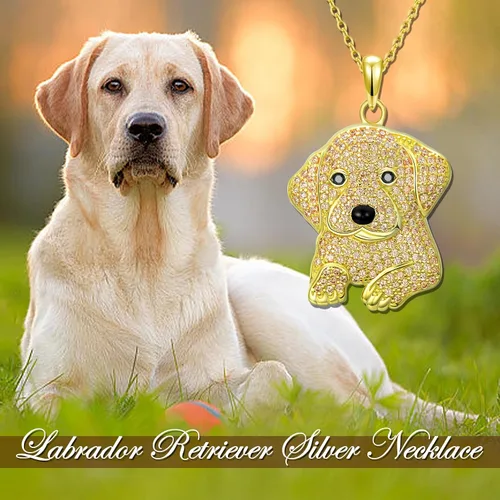 Miniatura 78 de Collares con colgante de perro de plata de ley S925 – 24 razas corgi/husky/labrador/pastor para mujer