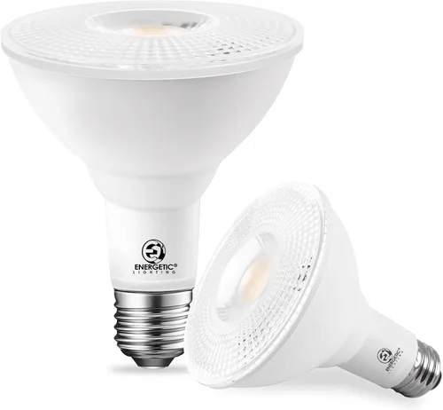 Bombillas LED PAR30 de Energetic, luz de inundación para interiores y exteriores de 10 vatios (equivalente a 75 vatios), 3000 K blanco cálido, 1000