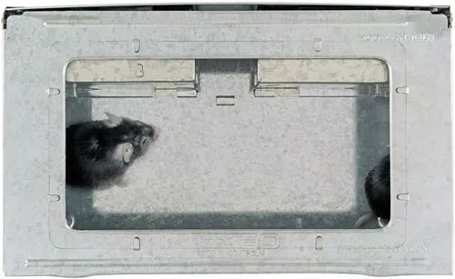 Miniatura 5 de iTrap - Trampa para ratones humanitaria con tapa transparente, estilo repetidor, paquete de 4 unidades para el hogar y la oficina, control seguro