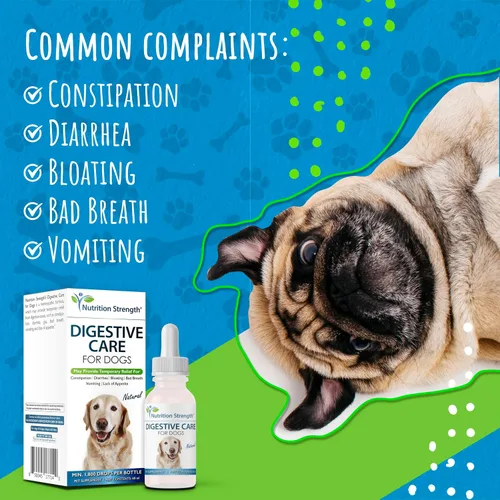 Miniatura 3 de Cuidado digestivo para perros, alivio natural del estreñimiento para perros y cachorros y apoyo para la diarrea, hinchazón, mal aliento, vómitos