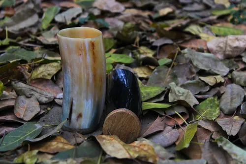 Vasos de chupito Viking Drinking Horn | Jarro de cerveza| Auténtico cuerno de buey hecho a mano para hidromiel y vino, regalo de primera calidad