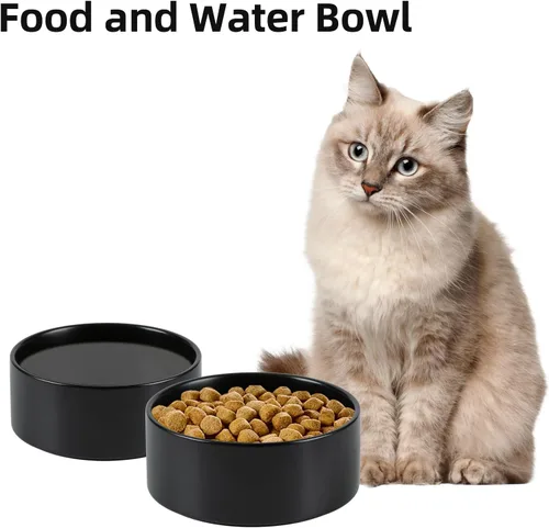 Miniatura 5 de Havniva Juego de 2 cuencos de cerámica de 5.1 pulgadas para perros y gatos, alimentador de alimentos y agua para perros de raza pequeña, gatitos