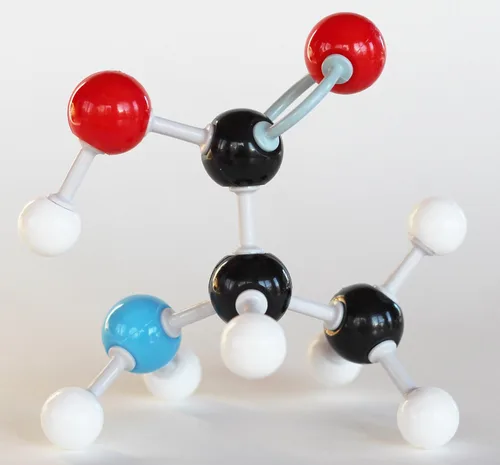 Miniatura 4 de Kit de estudiante modelo molecular de química orgánica (88 átomos y 140 partes de enlace) - MM-004