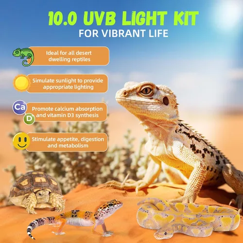 Miniatura 4 de GlowUp 24W 10.0 T5 UVB - Kit combinado de lámpara de reptil de 22 pulgadas, campana de terrario 10.0 UVB para reptiles de dragón barbudo, lagartos