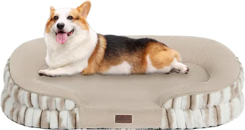 Miniatura 34 de Dwanton - Cama ortopédica para perros medianos con espuma de memoria con gel, sofá impermeable para perros, cama lavable para mascotas con cojín