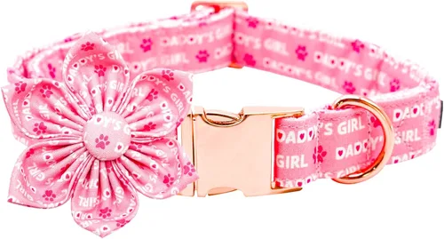 Miniatura 10 de Lionheart glory Collar de lazo para perro para el día de San Valentín, collar de perro para perros grandes, collares de perro con corazones con A